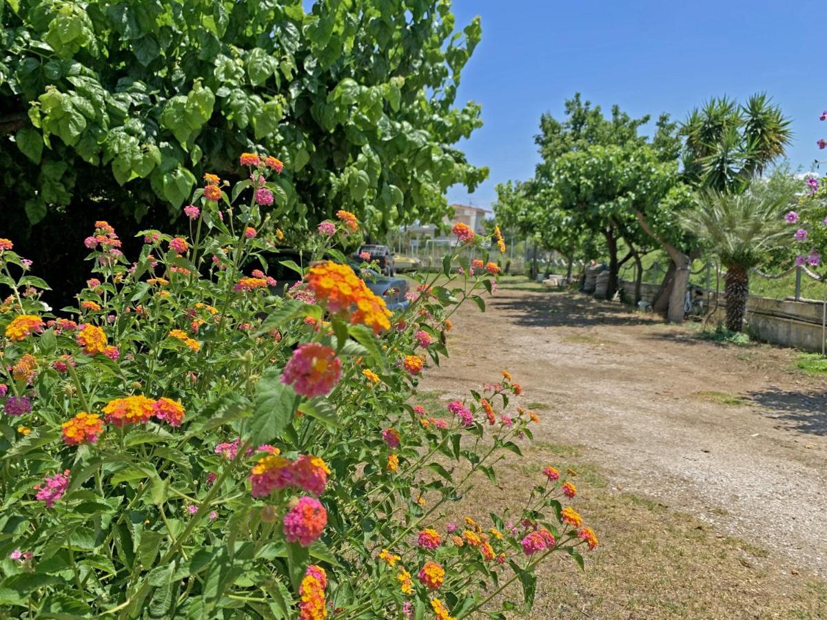 Akrotiri Rooms Айокампос Екстер'єр фото